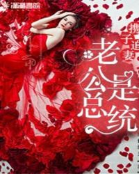 携子追妻:老公是总统