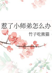 惹了小师弟怎么办